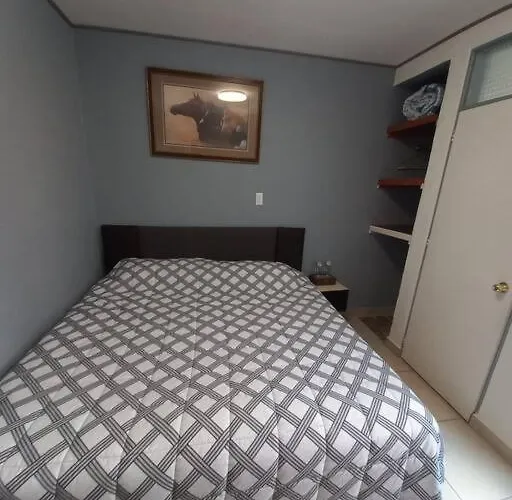 Apartamento Bonito Depto Con Patio Y Oficina A 7 Minutos Caminando Aicm